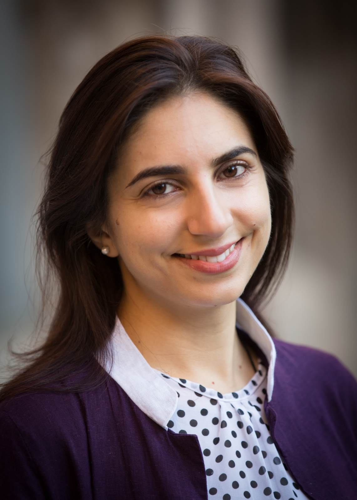 Professor Hosna Sheikholeslami